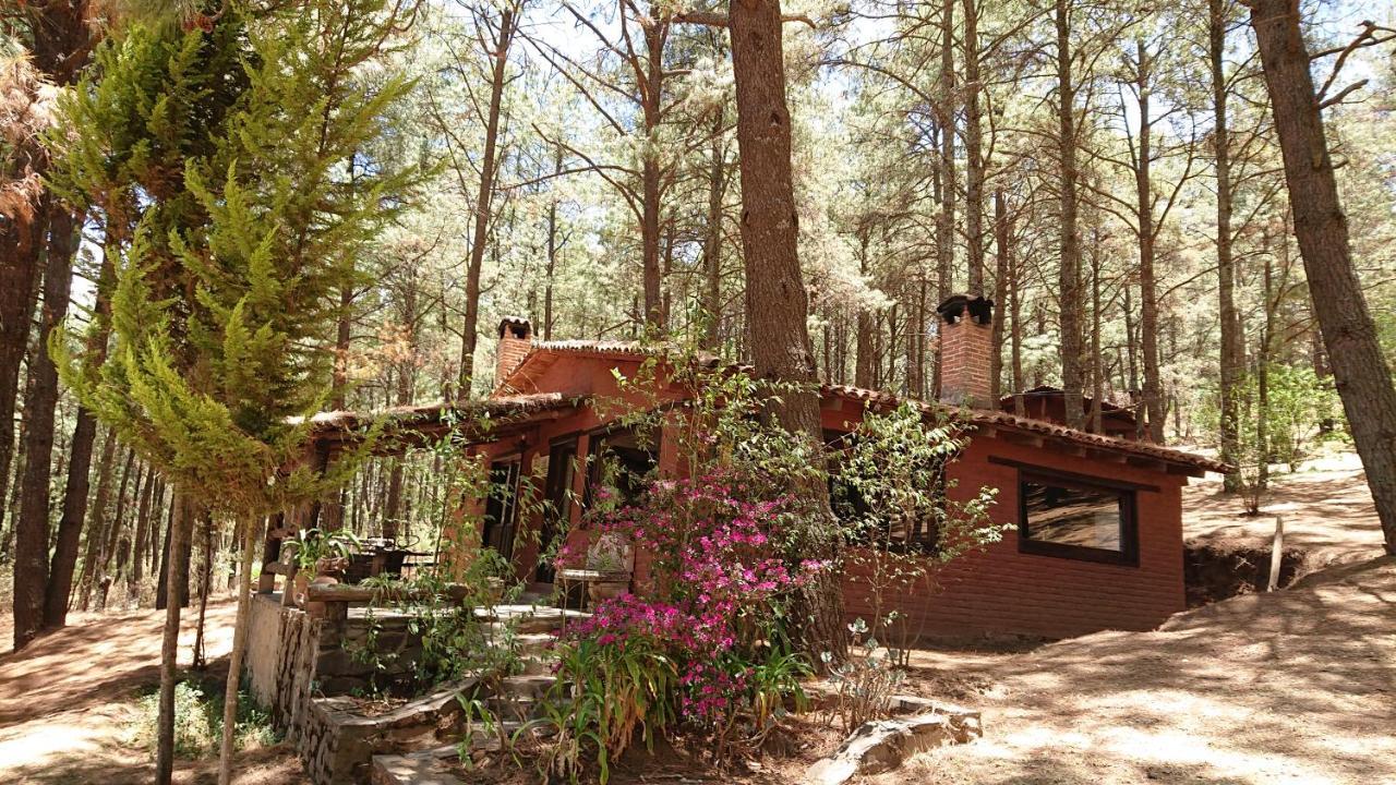 Cabanas Tapalpa Sierra Del Tecuan, Cabana Tejon Exterior photo